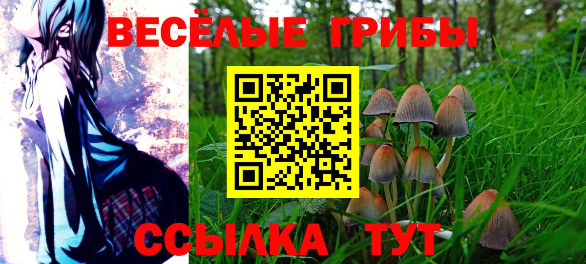 Галлюциногенные грибы Cubensis Десногорск